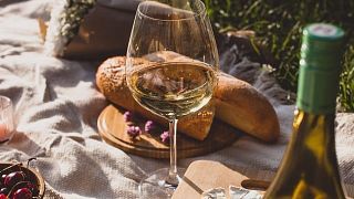Wine tasting and tour at Bodegas y Viñedos Merayos