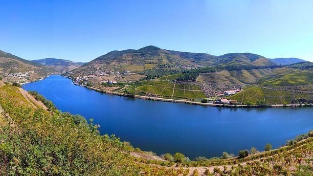 Gonçalo Castanho, a pioneer of Douro Valley Tours