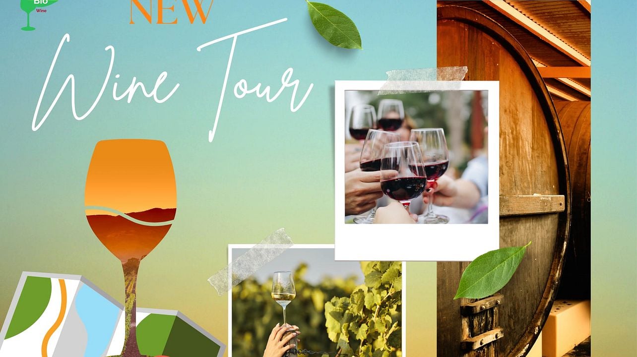 Organic Wine Tour