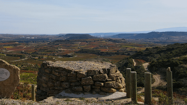 Bodegas Loli Casado