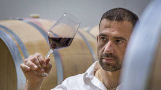 Cata de vinos populares en la bodega Spolert