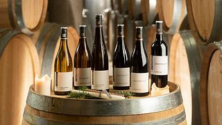 Degustazione di vini e visita a Schnaitmann