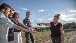 Degustação de vinhos e piquenique gastronômico nos vinhedos – Experiência Edetària