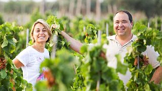 Sicily’s Organic Wine & Vineyard Tour at Tenuta Bastonaca