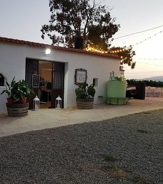 Weintour und Weinverkostung im Cortijo El Cura Eco-Bodega 