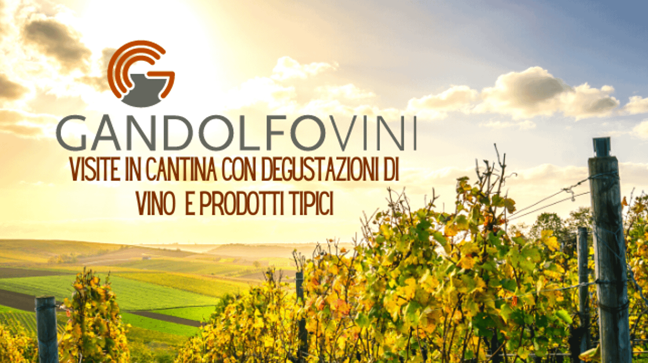 Gandolfo Vini