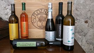Friuli-Venezia Giulia Wine & Vineyard Journey