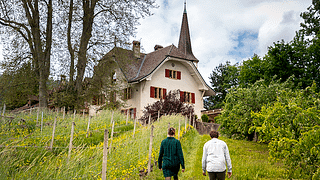 Vin- och getostprovning på Domaine du Manoir