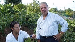 Weinprobe und Tour bei San Martino ColucciVini