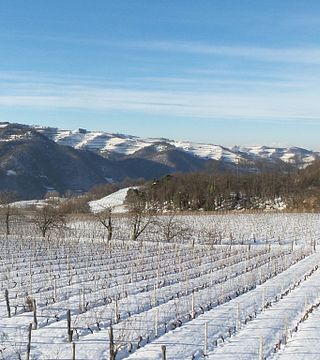 Visita y cata de vinos en Cà d'Michel