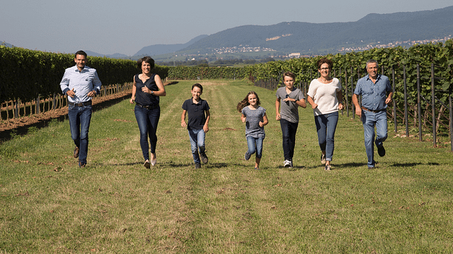 Dégustation de vins et visite du domaine Doppler-Hertel