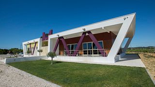 Tejo Vineyard Tour & Wine Tasting Delight