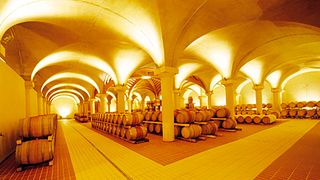 Degustazione e tour di vini a San Fabiano Calcinaia