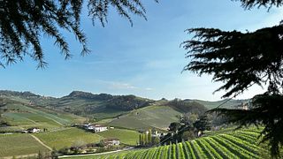 Recorrido por Alba, Castillo de la UNESCO y cata de vinos de Barolo desde Milán