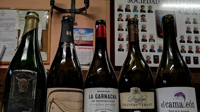 Degustação de vinhos e tour em Cava Colomer