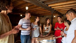 Degustazione di vini e tour allo Château Bardins