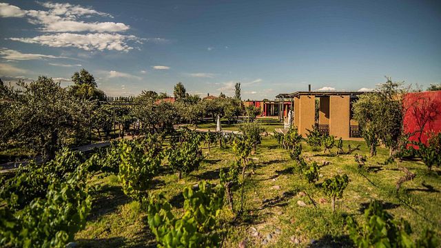 Casa Vigil Winery