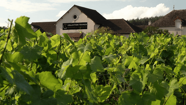 Maison L. Tramier & Fils