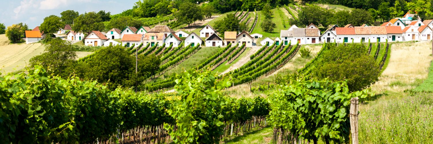 lower-Austria-Vineyards
