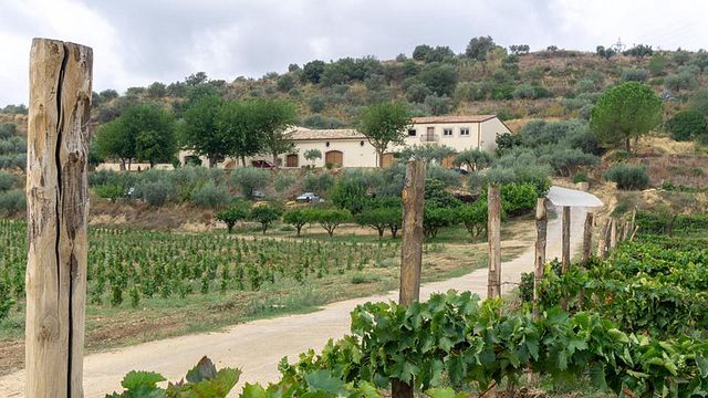Valle delle Ferle Winery