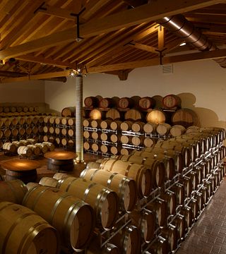 Veneto Wine Journey at De Stefani