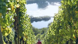 Juliusspital Winery in Würzburg
