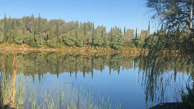 Degustação de vinhos e tour em La Chimera D'Albegna