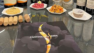 Degustação de vinhos e tour na Cantina della Serra