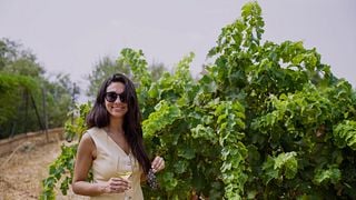 Málaga Wine Tour: Organic Vineyard, 6 Wines, Oils & Tapas