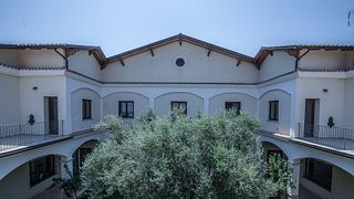 Senatore Wine Experience