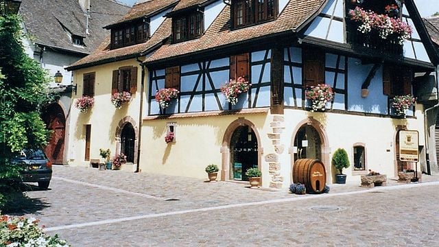 Alsace Organic Wine Tour & Tasting at Schmitt-Carrer