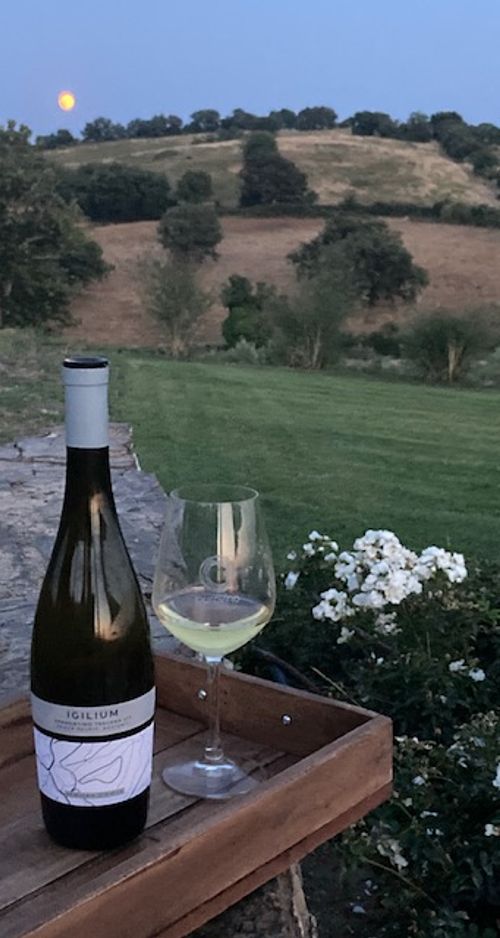 IGILIUM DOC MAREMMA VERMENTINO - Azienda Agricola Purovino