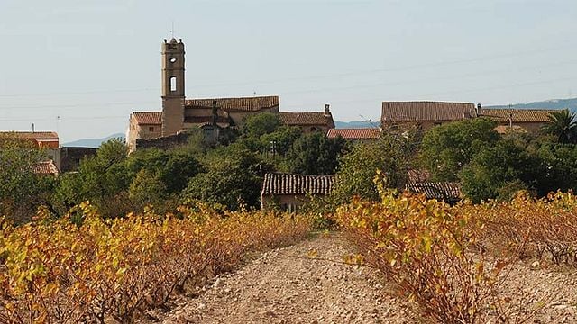 Celler Mas Bella