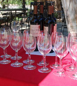 Tour di degustazione di vini Napa di 6 ore in un SUV