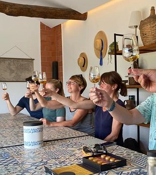 Weinbergtour und DOC-Douro-Weinprobe | Quinta da Pousada