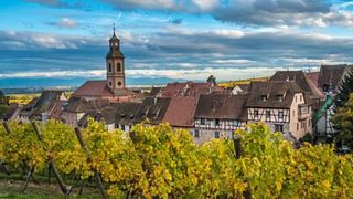 Christmas market and wine tour to Riquewihr