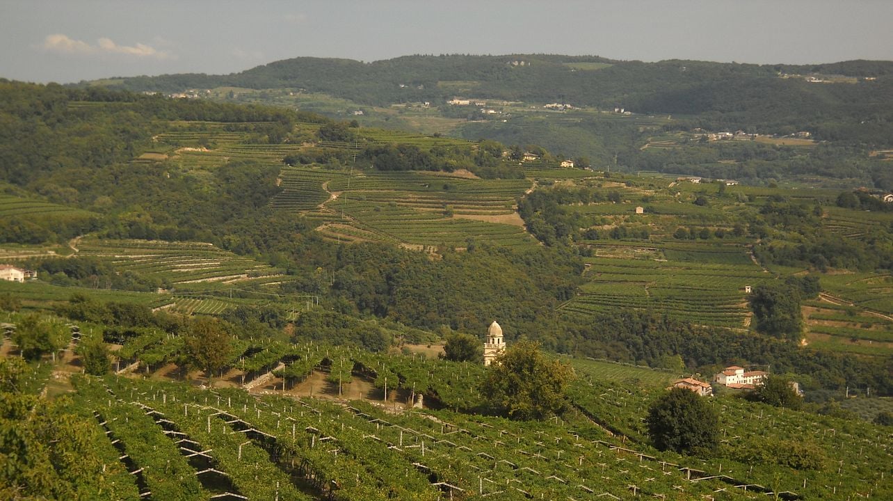Corte Zardini