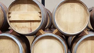 Cata y visita de vinos en Bodegas Iturria
