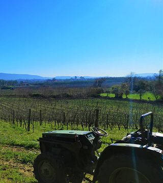 Os melhores sabores da bairrada (tour de dia inteiro)