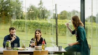 Private Wine Tasting & Vineyard Tour