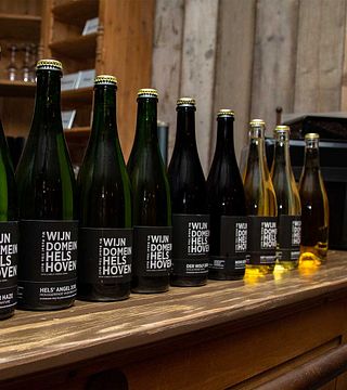 Cata de vinos y tour en Wijndomein Helshoven