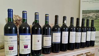 Degustação de vinhos e tour no Domaine l'Aiguelière