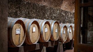 L'art du vin : un voyage gustatif chez Casalbosco
