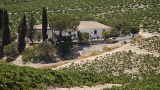 Overnight stays in the old Winery from 1722 (private stays for groups)