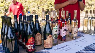 Family Winery Uzumfermer