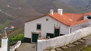Besichtigung und Weinprobe im Quinta Dos Poços