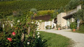 Winery tour, wine tasting with lunch or dinner at Contrà Soarda 