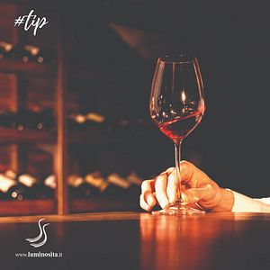 Dégustation de vins et visite à Alussinante
