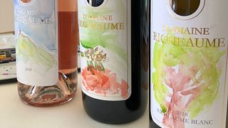 Degustação de vinhos e tour no Domaine Richeaume