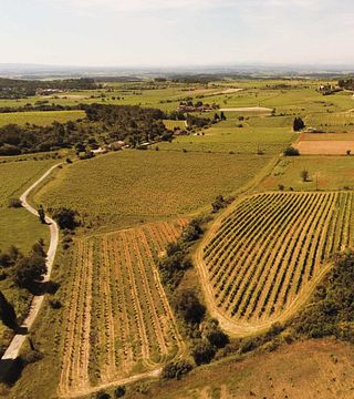 Dégustation et visite de vins au Domaine de Pech Ménel